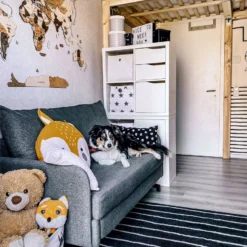 Sofá Cama 2 Plazas Tapizado Gris BELFAST -Mimoso Sofa Ventas 4decf03342a1ec4e881fcd761641f8a7f3c5c978 798593dc7bcd47ee894129642ebf9759