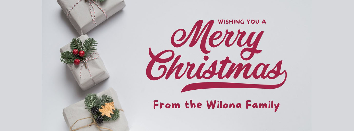 Mimoso Sofa Ventas -Mimoso Sofa Ventas 155